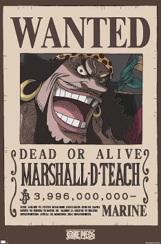 One Piece - Black Beard Wanted Poster Wall Poster, 34L" x 22.4W", Premium Unframed Version