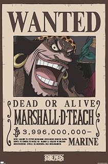 One Piece - Black Beard Wanted Poster Wall Poster, 34L" x 22.4W", Premium Unframed Version