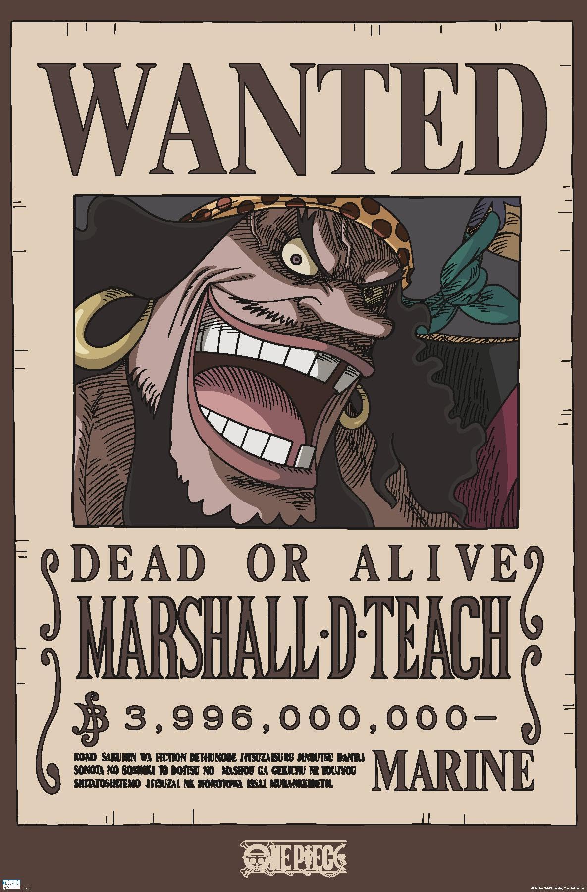 Amazon.com: Trends International One Piece - Black Beard Wanted