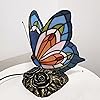 Product Photo 2