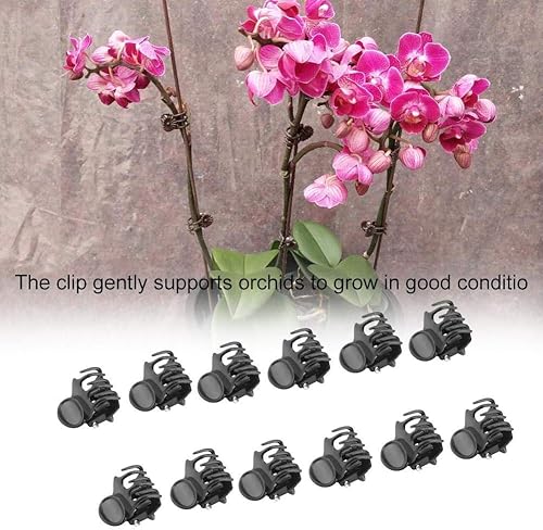 Miniatura 6 de Yosoo 100 piezas de plástico mini tallos clip de soporte, herramientas de jardín de flores, clip soporta suavemente orquídeas, fija pequeños tallos