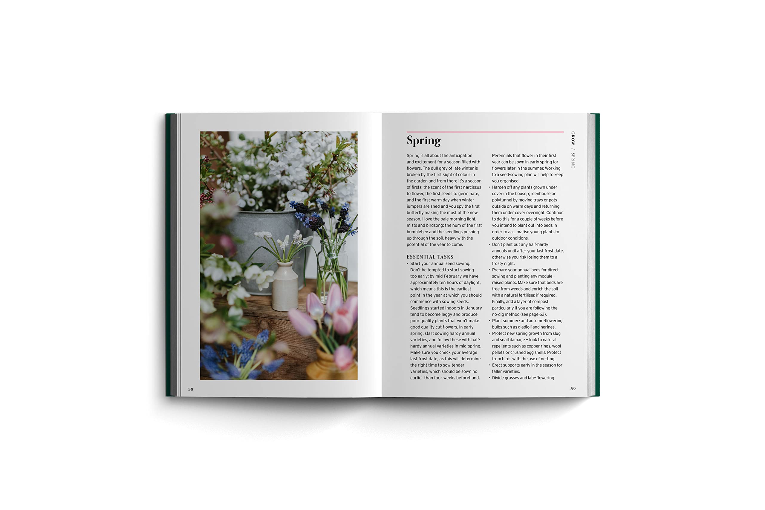 Cut Flowers: Bloom Gardener's Guide: Prepare the ground, sow seed, nurture, harvest, fill your vases (3)