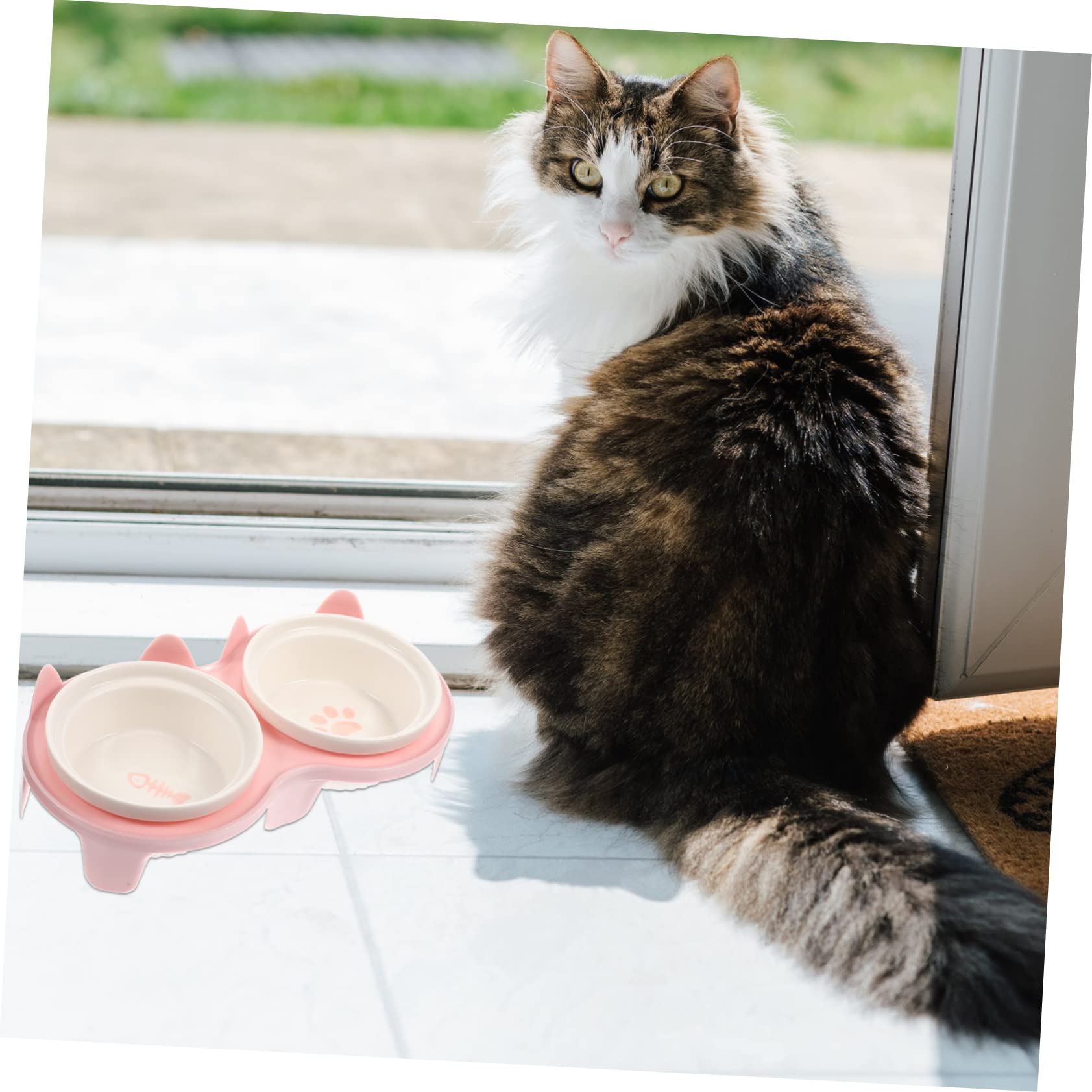 VANZACK Erhöhte Katzennäpfe Aus Keramik Mit Bambusständer Praktisch Für Haustierfutter Und Wasser Spülmaschinenfest Und Rückstandsfrei