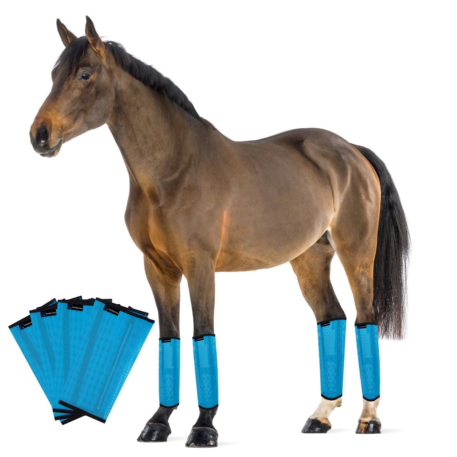 FOXLVDA Horse Fly Boots - boots and wraps | Mubboo