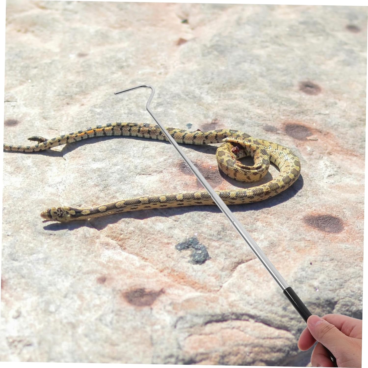 Stainless Steel Retractable Snake Hook Professional Snake Catching Tool Accessories