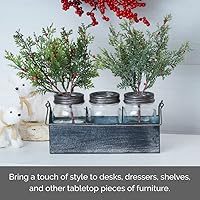 Vista 4 de Elements Tarro de vidrio con tres decoraciones de metal para portador, acabado envejecido, 10.83 x 3.54 x 7.09 pulgadas