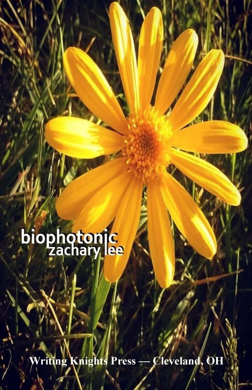 Biophotonic