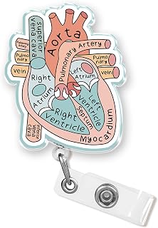 Heart Anatomy Badge Reel Retractable 1.8 Inches Anatomical, Cardiology, Aorta, Medical ID Card Holders, Alligator/Belt Clip, Acrylic Material, Badge Holders Accessories DIY Gift for Nurse Doctor