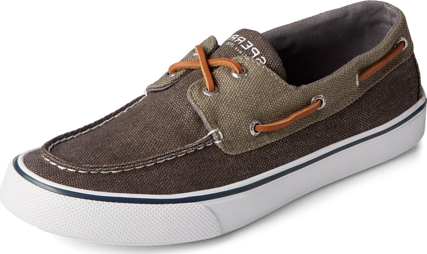 Olive Canvas