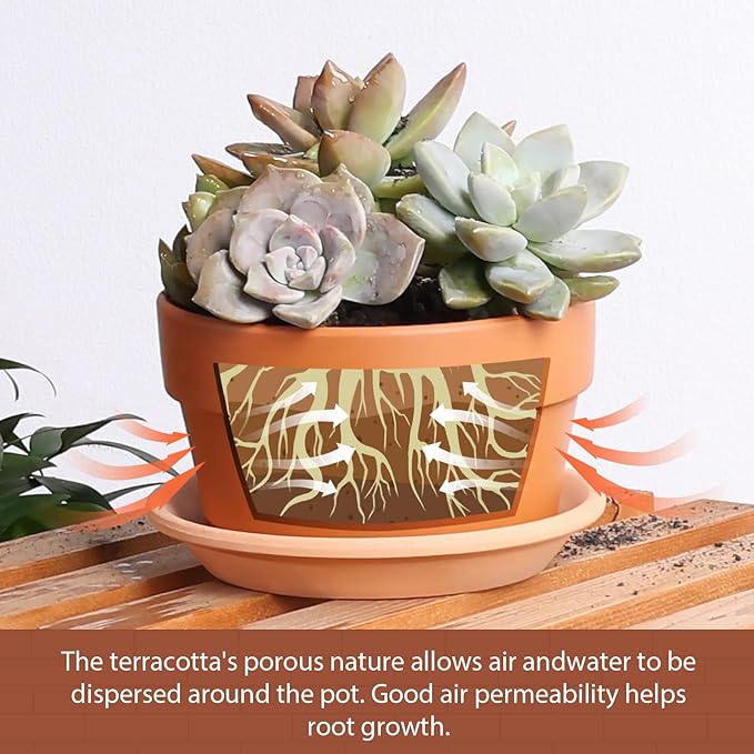 The pots feature a drainage hole at the bottom, allowing for proper drainage and aeration for plant roots. The shallow design of the pots makes them ideal for growing small plants, herbs, succulents, and cacti. These terracotta pots are both functional and decorative, adding a rustic charm to any indoor or outdoor space. Whether you are a beginner or experienced gardener, this set of terracotta pots is a great addition to your plant collection. Description by ChatGPT.