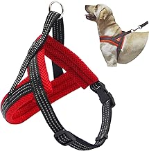 BPS® Pet Dog Harness with Adjustable Collar, 4 Sizes Colors to Choose for Small Medium and Large Dogs (M, Red) BPS-3882R