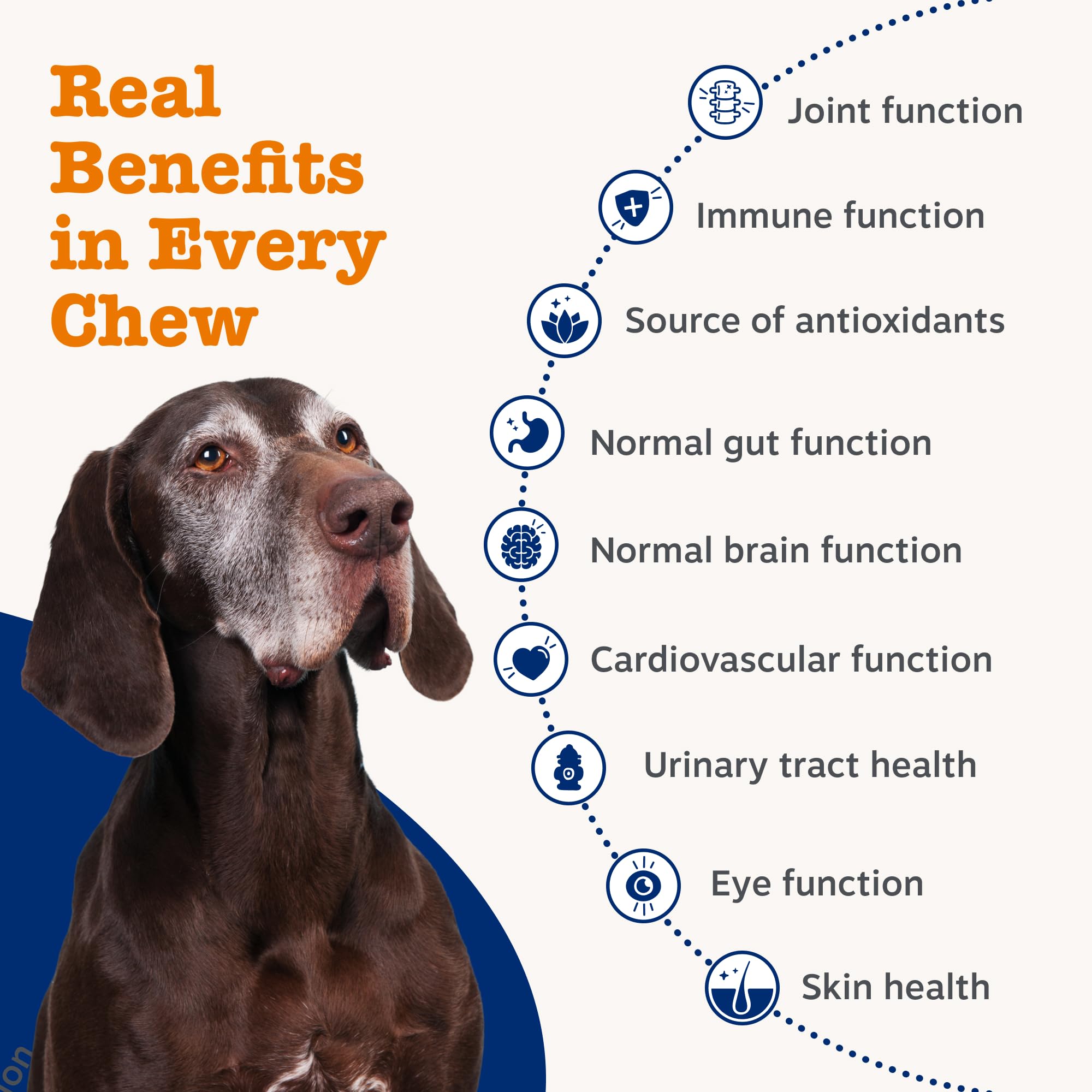 Zesty Paws 9 in 1 Multivitamins for Senior Dogs, Rich in Turkey, 90 Chews