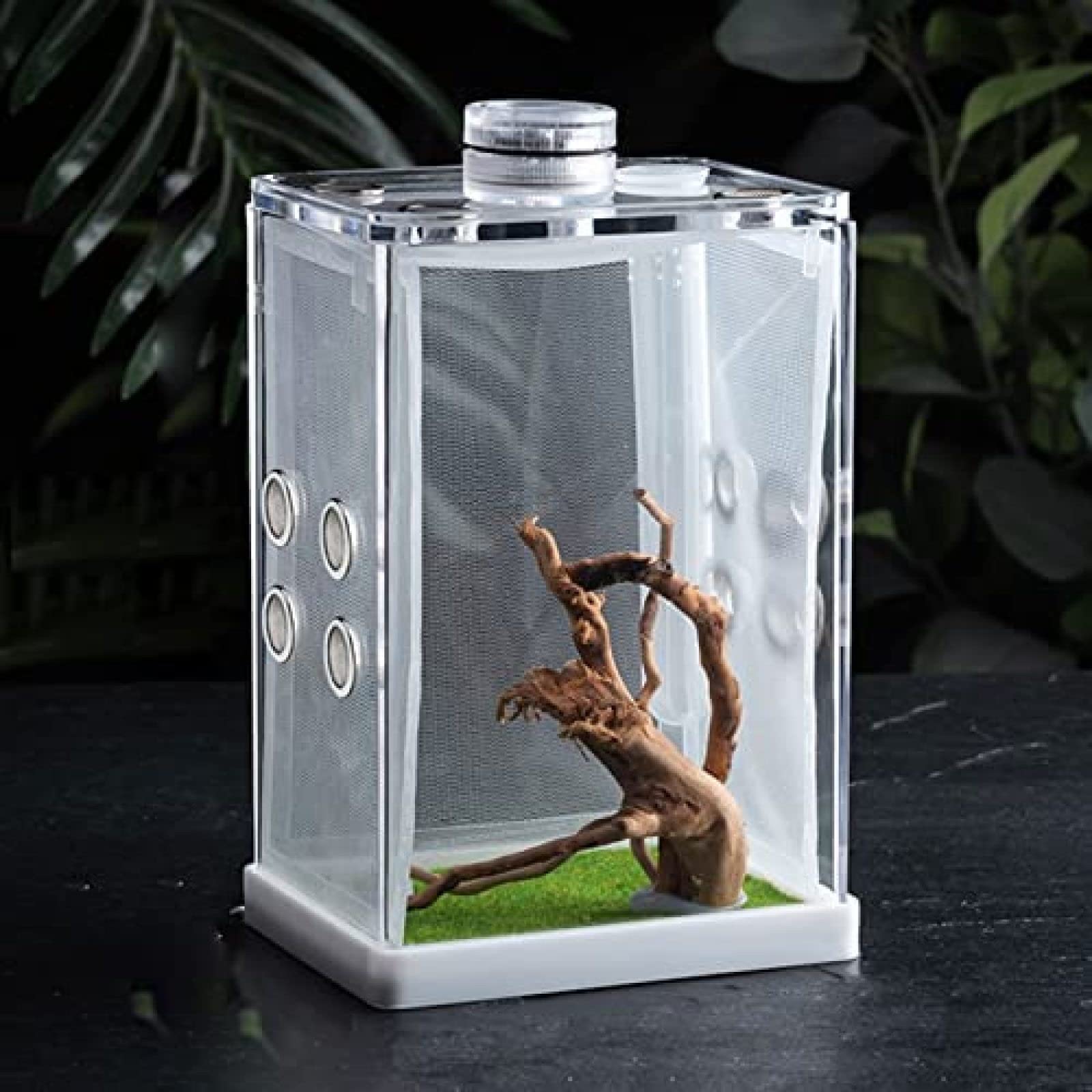 Terrarium En Acrylique Pour Reptiles - 30x30x60 Cm - Porte Magnétique, Ventilation Optimale, Facile à Nettoyer