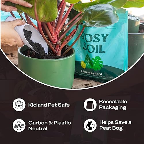 Miniatura 7 de Rosy Soil Tierra para Macetas de Interior para Plantas de Casa - Mezcla de Tierra para Macetas Orgánica para Plantas de Interior - Enriquecida