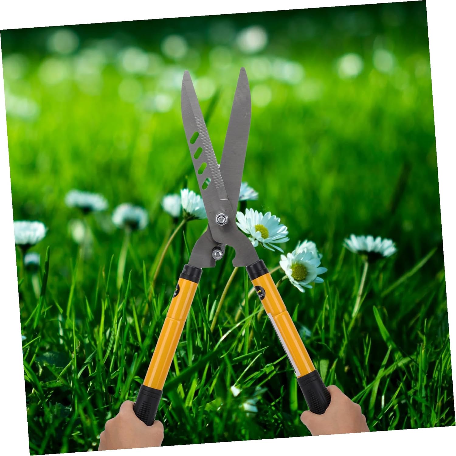 Yardwe Multi-purpose Gardening Pruning Scissor with Ergonomic Non-slip Handle Lightweight Manual Branch Cutter for Tree Garden Use Portable Secateurs Pruning Scissors Tool