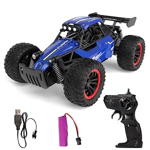 1 16 Scale Remote Control Monster Truck 20 km h Outdoor 2WD Off Road Hobby RC Truck With