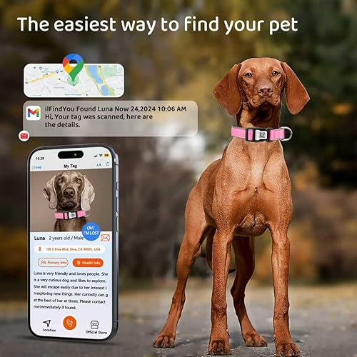 Miniatura 28 de Collar reflectante para perro con etiqueta de código QR, collar de perro personalizado, visibilidad nocturna de seguridad, función antipérdida Negro