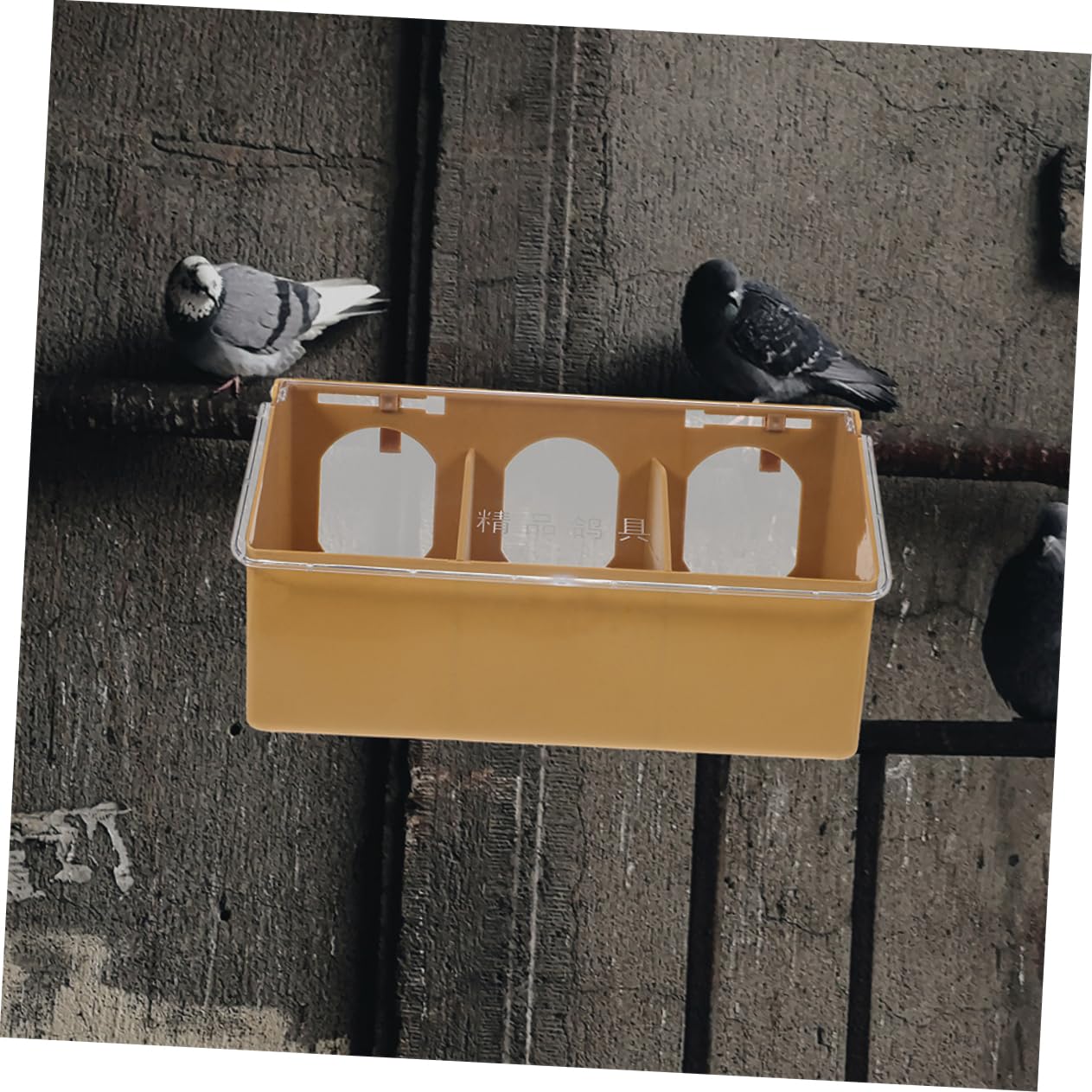 2 Pezzi Mangiatoia per Piccioni in Plastica, Compatta e Resistente All’usura, Facile da Pulire, per Alimentazione Uccelli in Gabbia