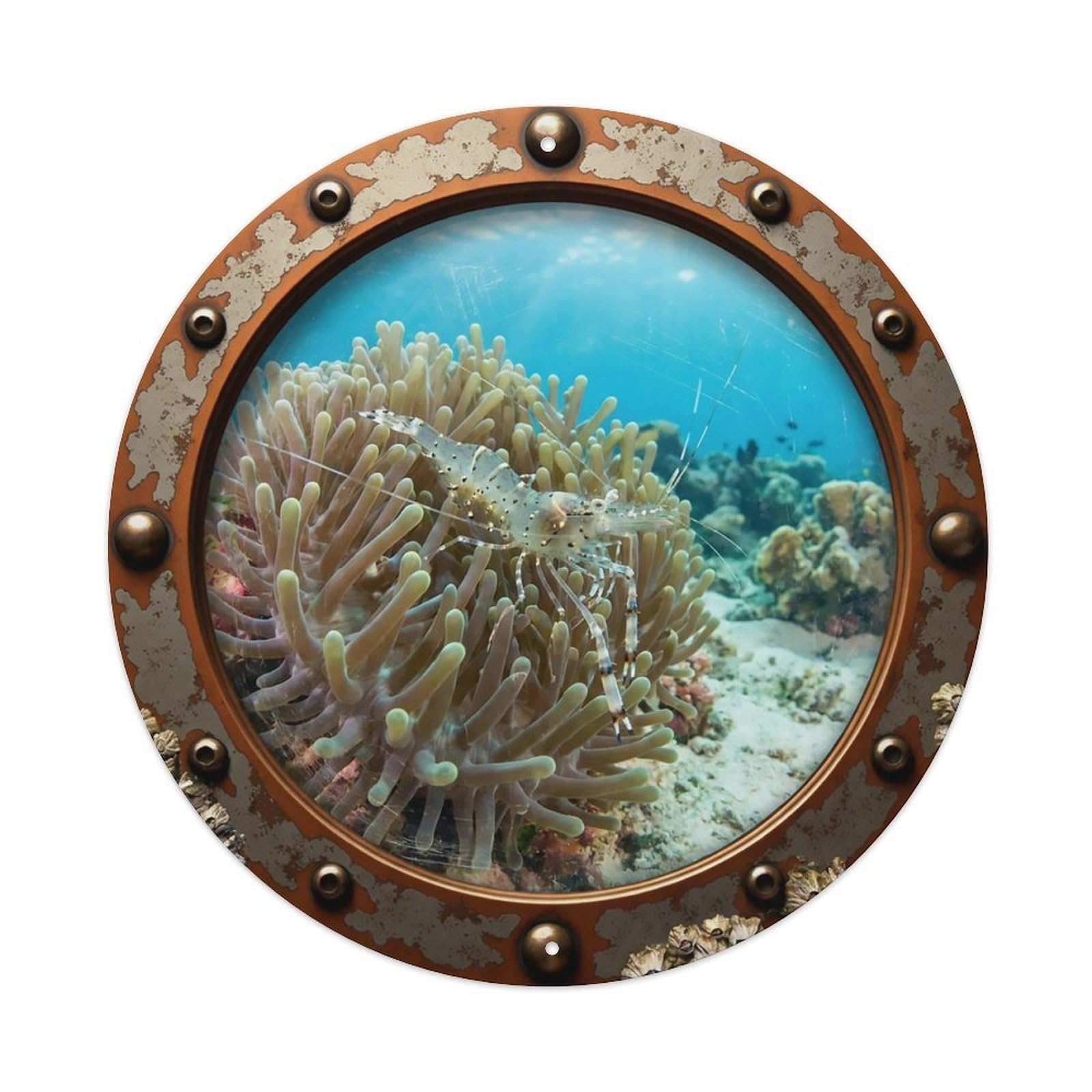Odgynaw 8X8inch(20X20cm) Vintage Porthole Anemone Shrimp Nautical Window View Metal Tin Sign