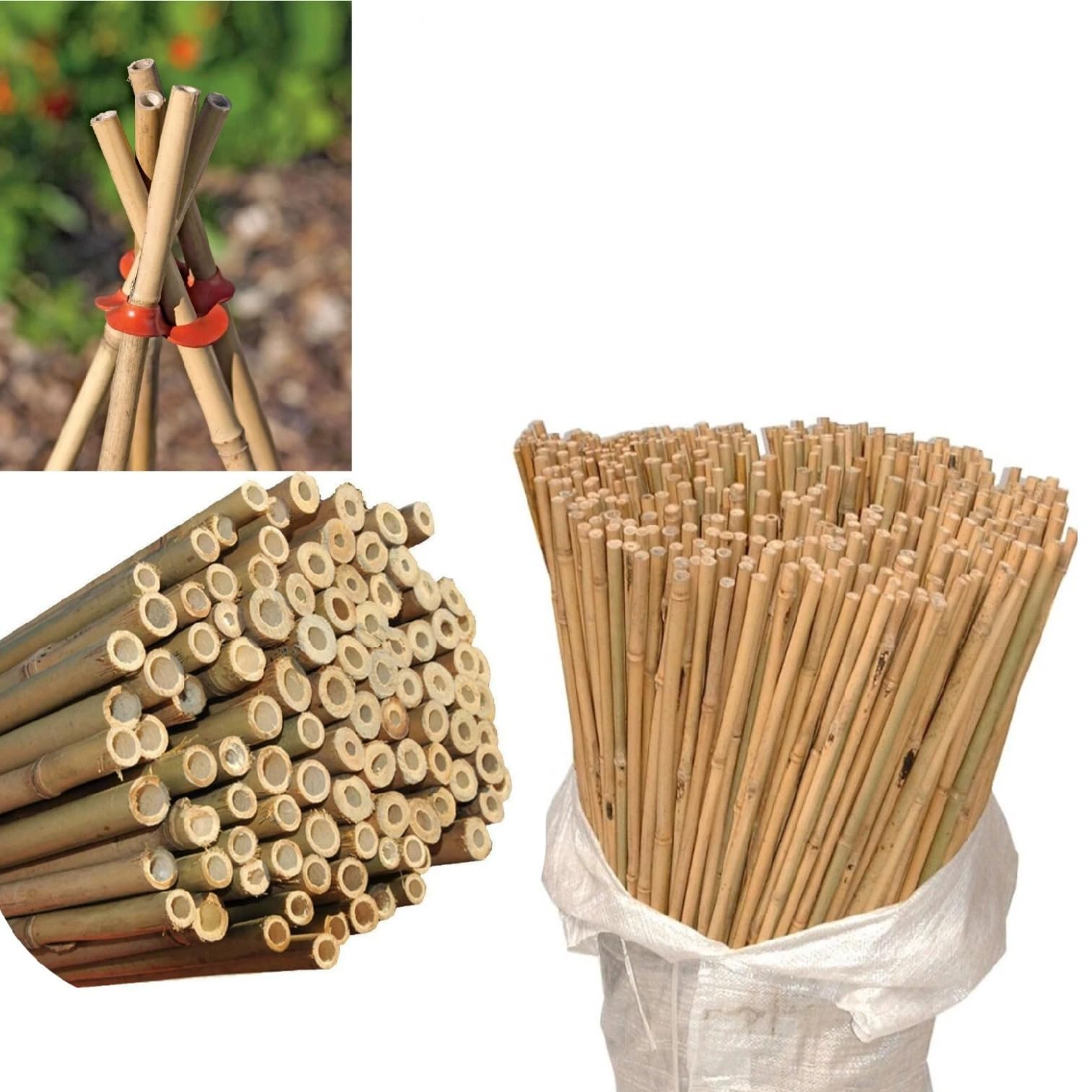 5ft Bamboo Garden Canes Pack of 10 Heavy Duty 1.5m Plant Support Stakes for Climbing Plants, Trees & Vegetables Strong Trellis Poles for Outdoor Gardening