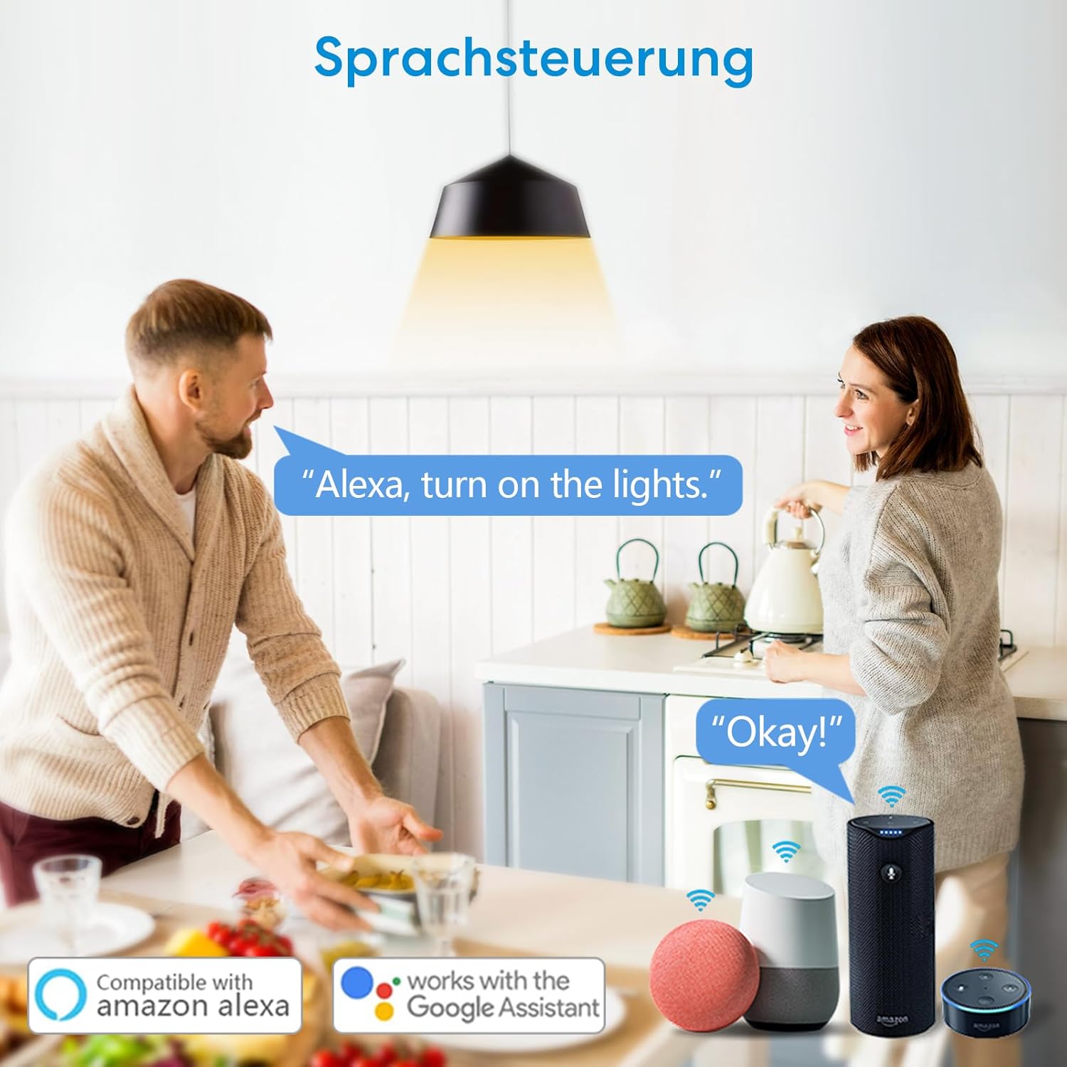 LoraTap Ghid de instalare a modulului WiFi