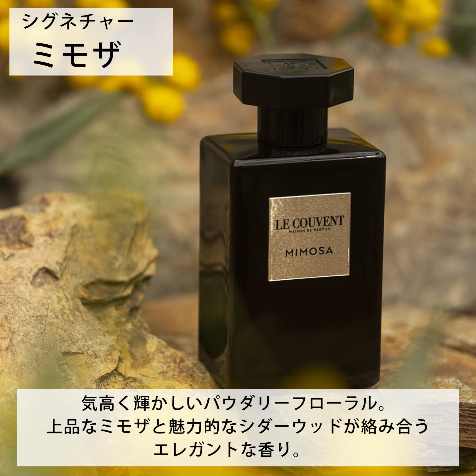 Amazon | 【ル クヴォン メゾン ド パルファム】シグネチャー ミモザ