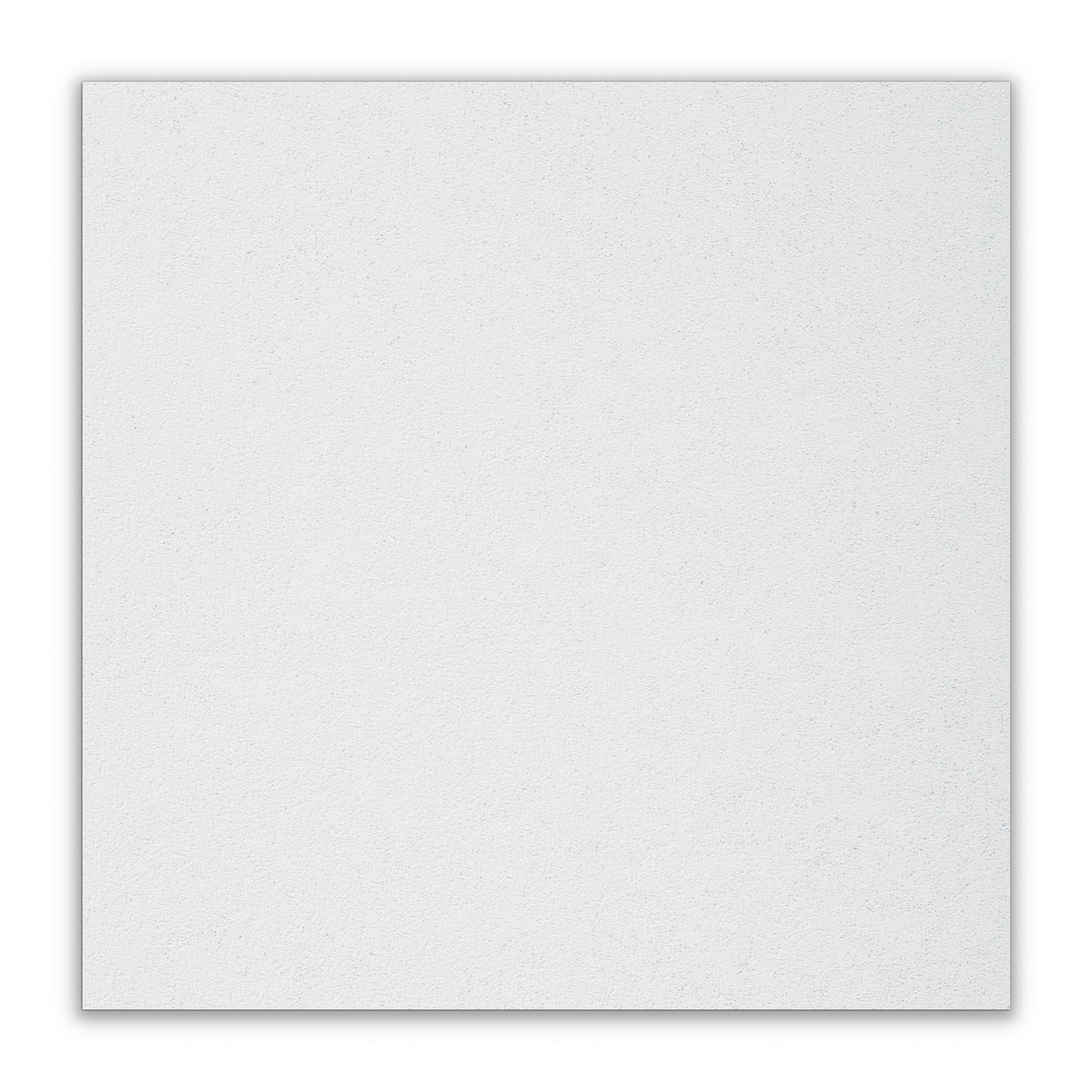 Ceiling Tile,24" W,24" L,3/4" Thick,PK12