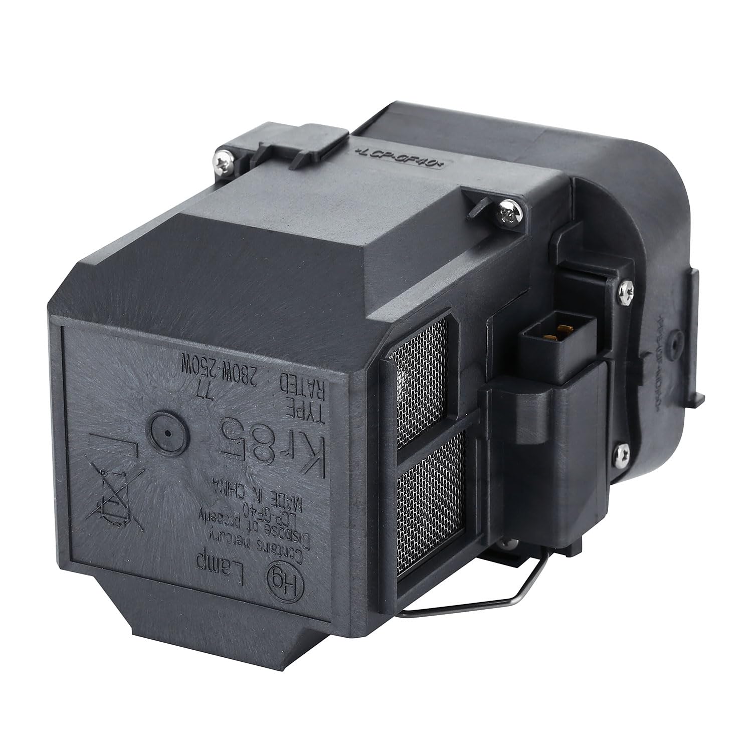 V13H010L77 Ampoule Lampe de Rechange pour EPSON ELPLP77 EB-1970W EB-1975W EB-1980WU EB-1985WU EB-4550 EB-4650 EB-4770W EB-4850WU EB-4950WU EB-4750W EB-4955WU EB-4855WU EB-4750WU Vidéoprojecteur