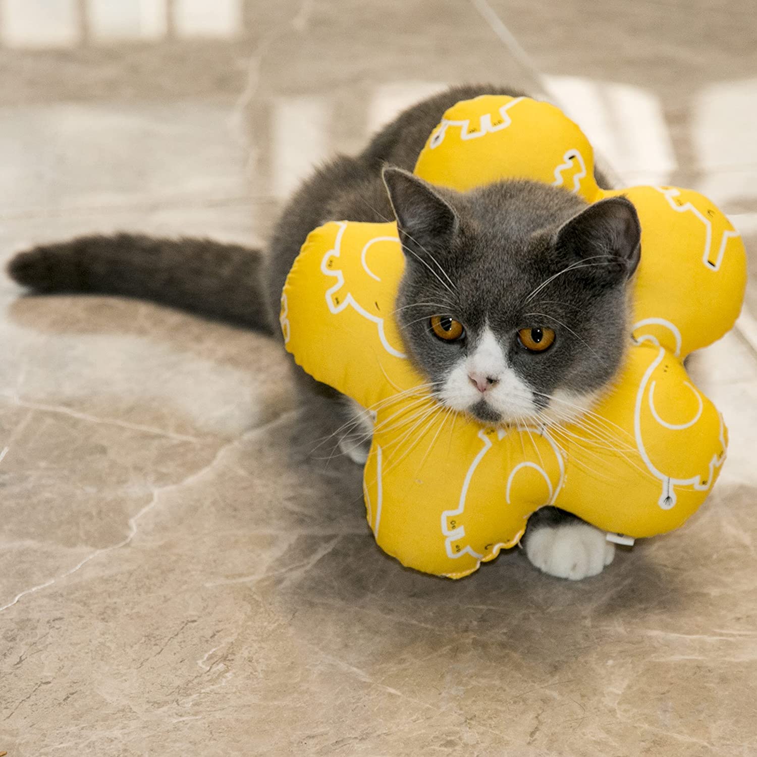 Amazon | エリザベスカラー 猫ポンデリング 猫 カラー エリザベス