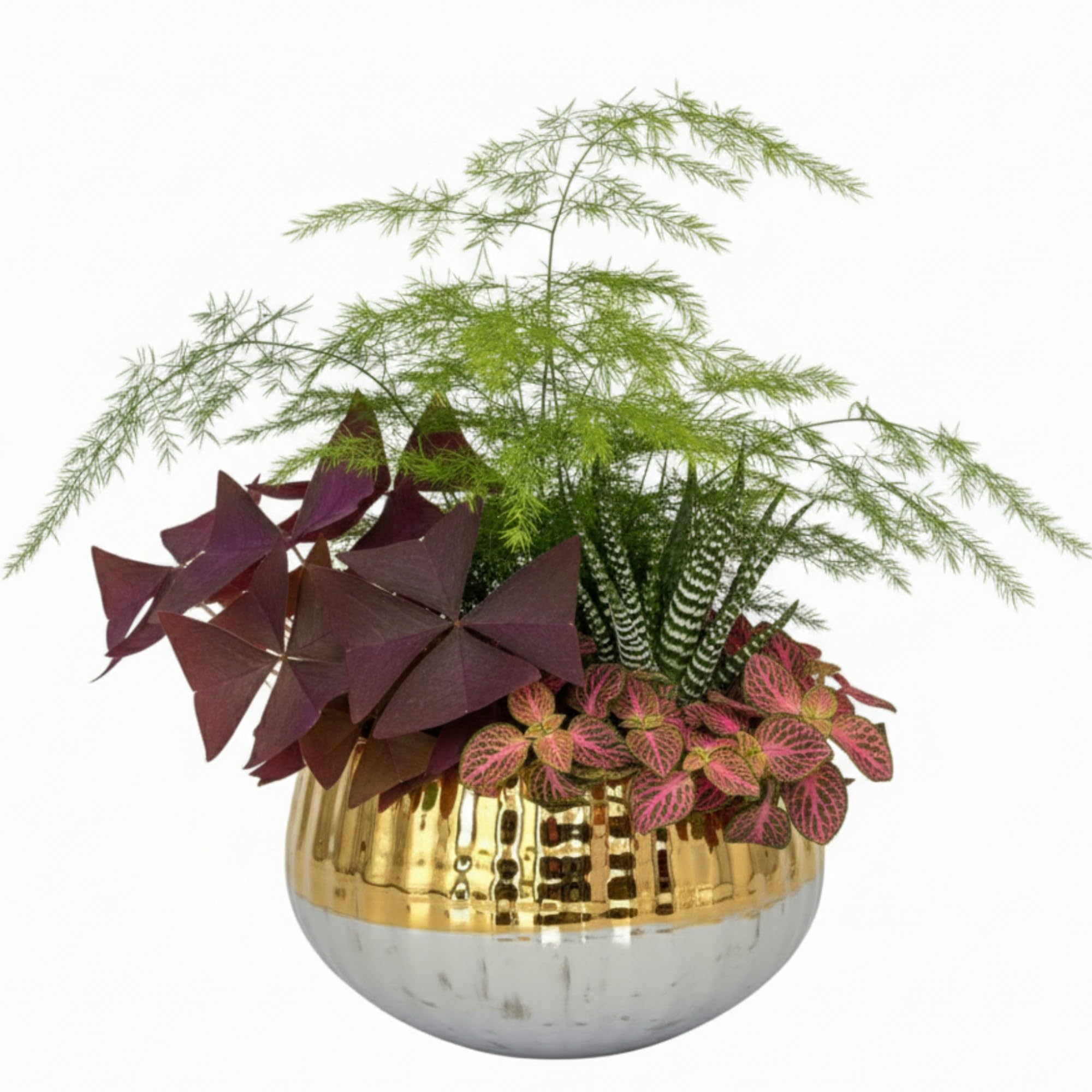 Garden Art Ceramic Pot - Home & Office Decor -7 Garden Art Ceramic Pot - Home & Office Decor -7