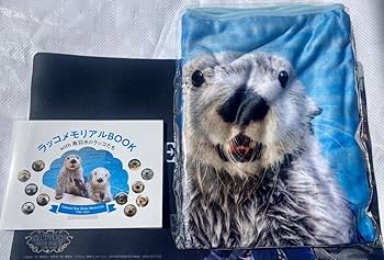 Amazon.co.jp: 鳥羽水族館 ラッコ 飼育40周年記念 ラッコ