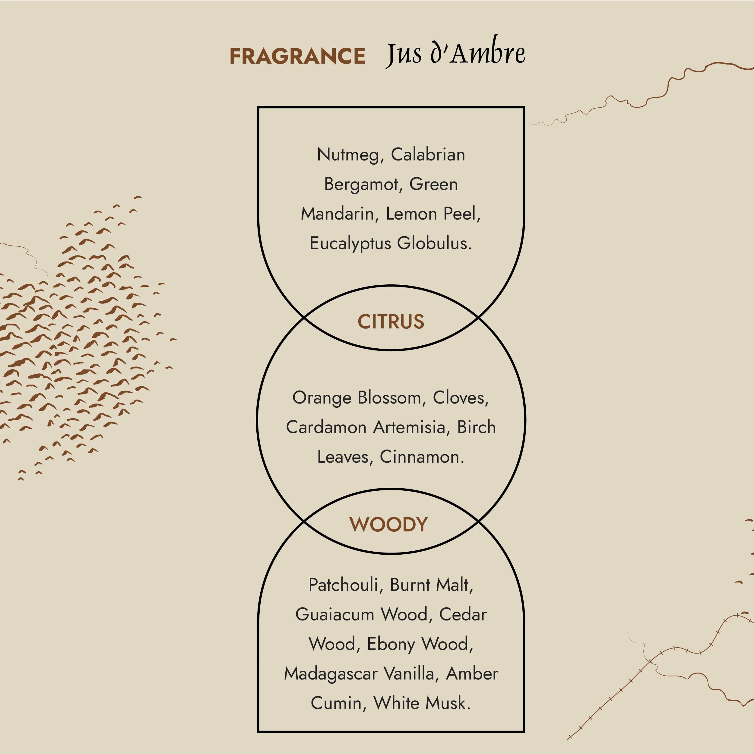 Prija Jus d'Ambre Eau de Toilette Citrus and Spicy Nutmeg 3x 50ml | Luxurious Unisex Perfume for Men and Women. Fresh Citrus and Spicy Nutmeg. Energising and Strengthening.