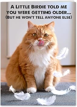 Funny Birthday Cat Card for All, Women, Men, Mom, Dad, Sister, Brother and Friends, Cat Photo Card with envelope and Free Note Card including the Little Birdie who wont tell