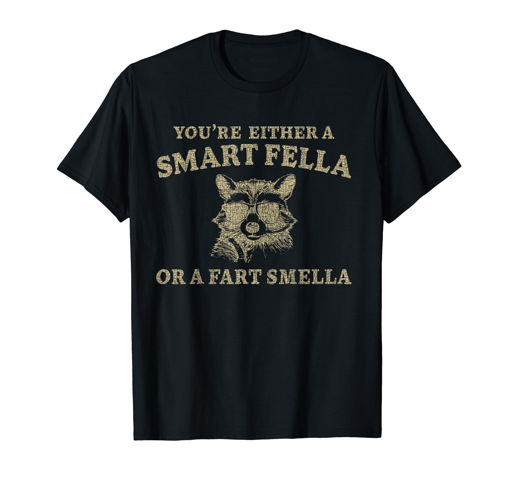 You're Either A Smart Fella Or A Fart Smella Funny sarcastic T-ShirtOEKO-TEX STANDARD 100