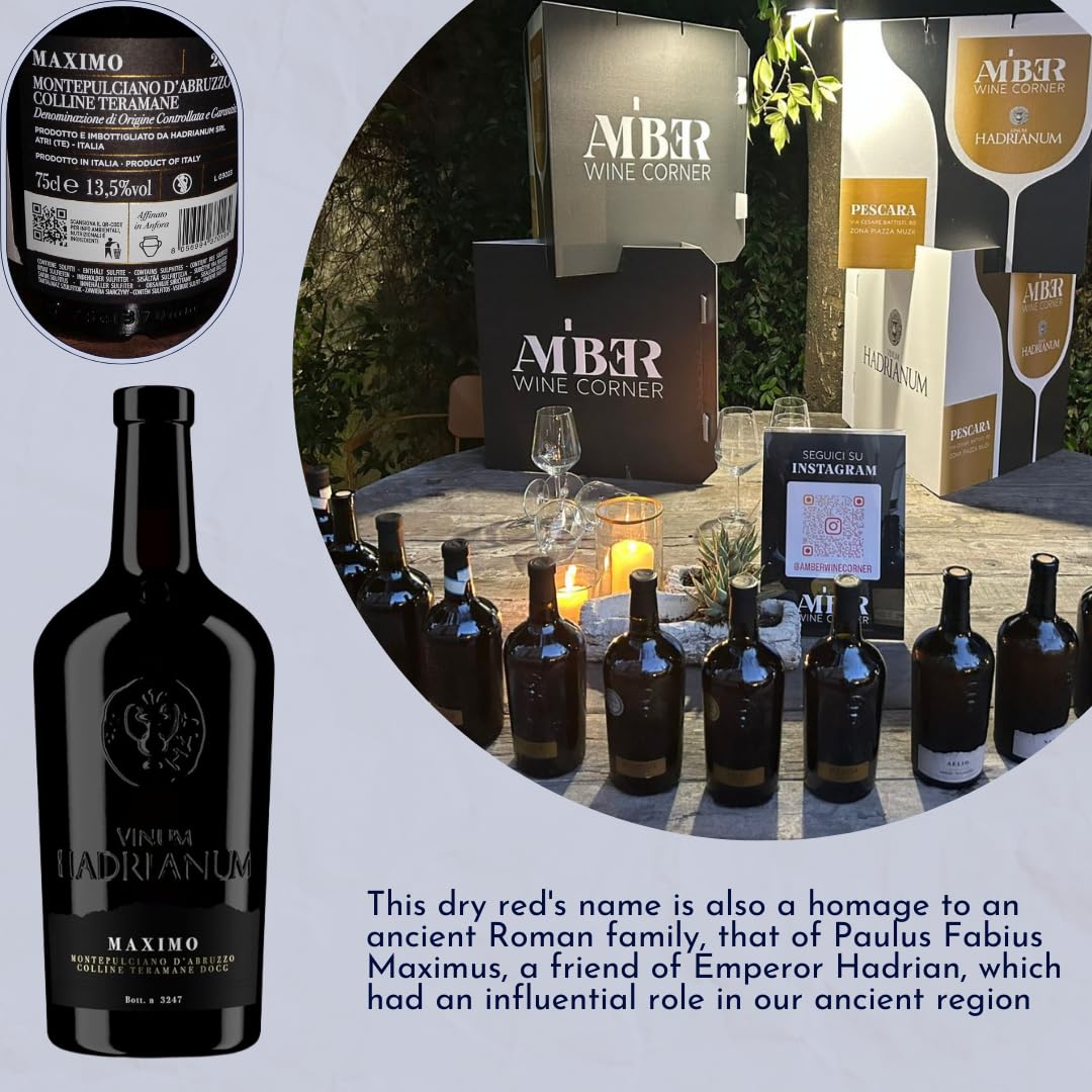 6 Bottles Italian MAXIMO 2021 Red Wine (Color Bright Ruby) Montepulciano D'Abruzzo by Vinum Hadrianum | Colline Teramane DOCG Embrace Wine | Excellence in Every Sip - (Each Bottle 750 ml)