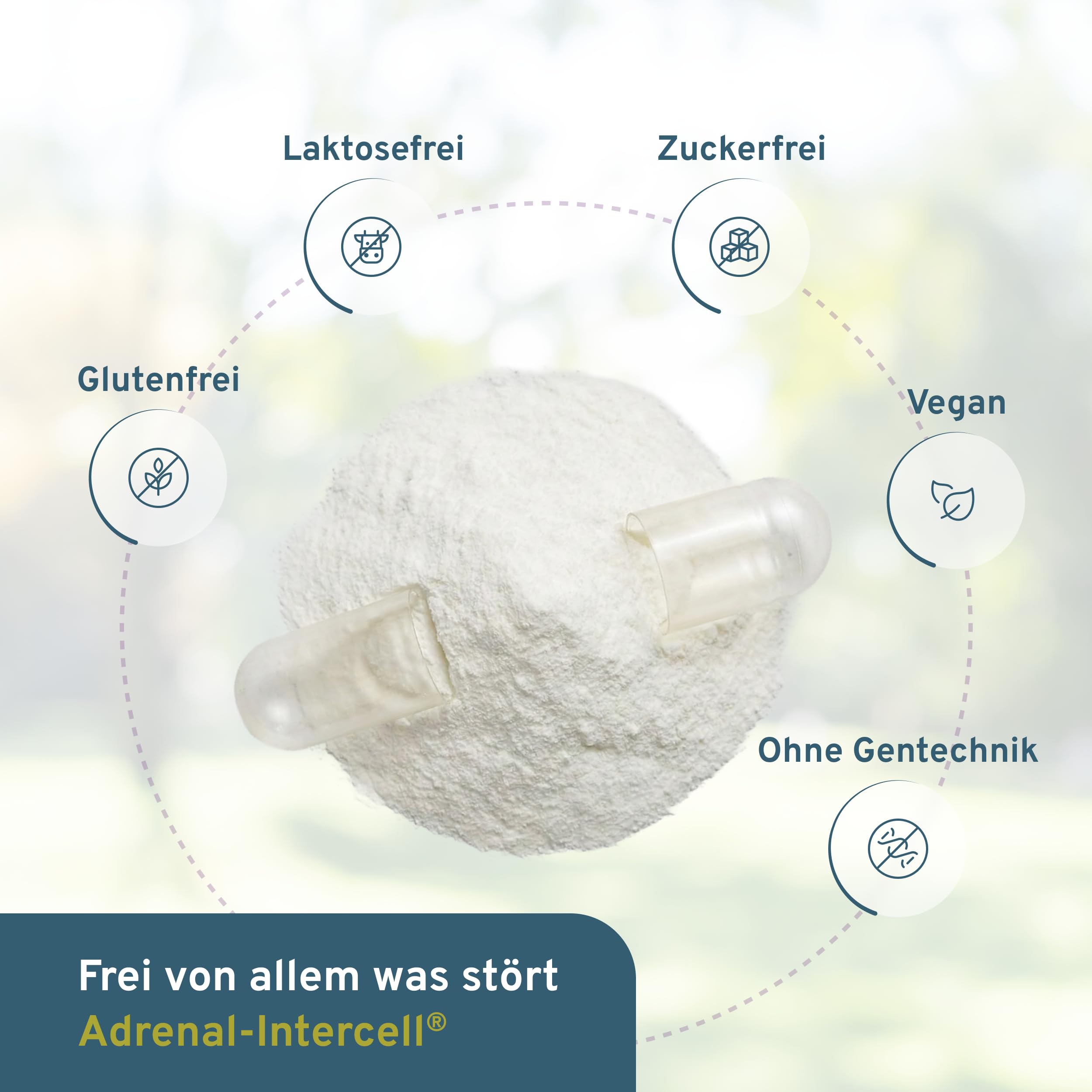 Adrenal Intercell (120 Kapseln) - Aktivstoff für die Nebennieren - mit L-Tyrosin (Aminosäure), Vitamin C, Pantothensäure, Rhodiola, Magnesium, Zink, Vitamin B1, B2, B3, B6, B12 & Folsäure