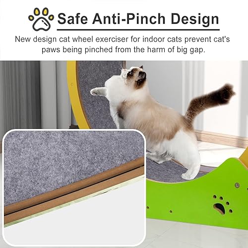 Miniatura 2 de ROYUMI Rueda de ejercicio para gatos para interiores, rueda de ejercicio para gatos pequeños, rueda de ejercicio para gatos con espacio pequeño,