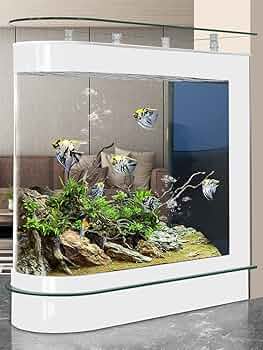 FISH TANK  31冊 81A9Wal+FdL._UF1000,1000_QL80_.jpg