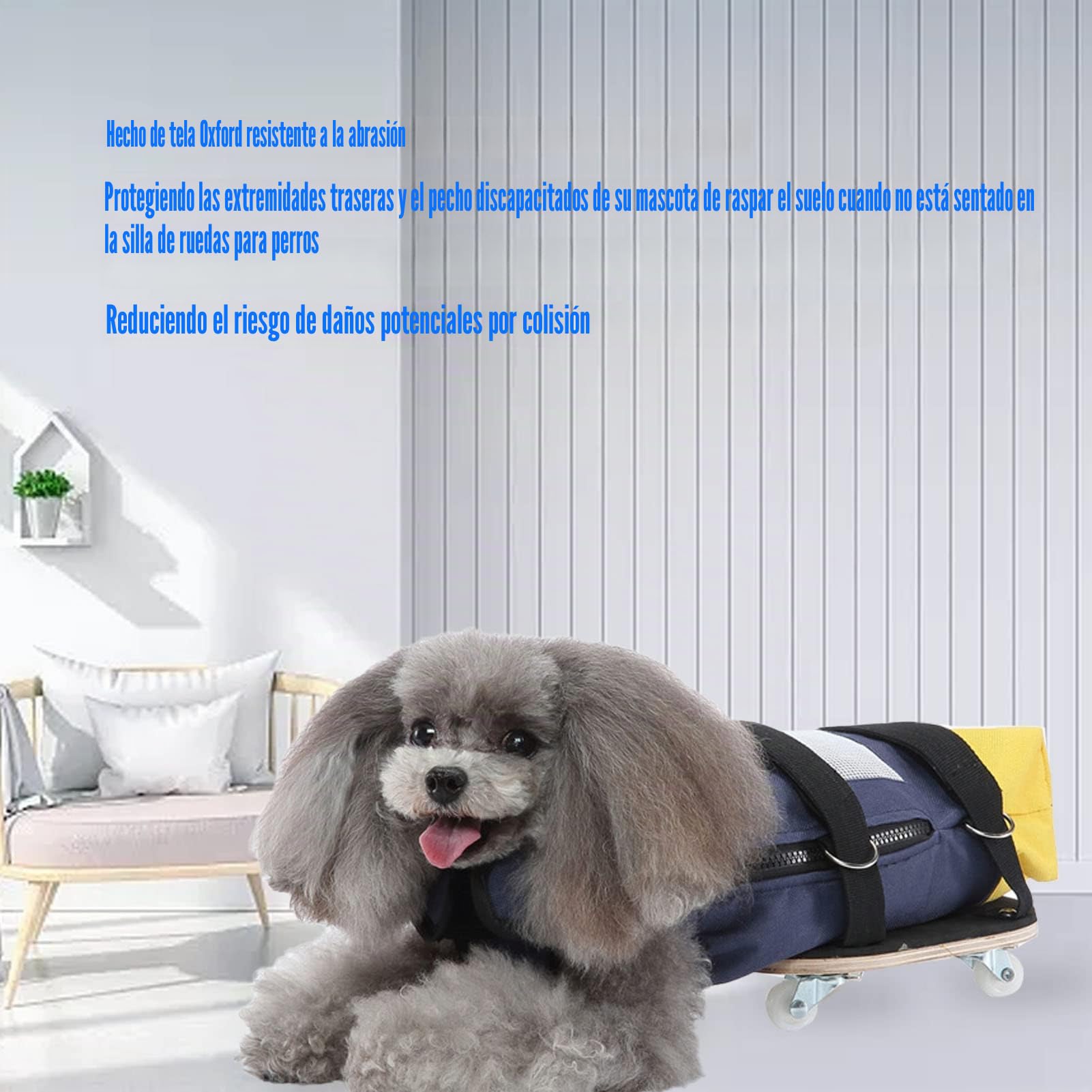 Bolsa de Arrastre para Perros, Tela Oxford para Perros y Gatos, Patas Traseras, Silla de Ruedas, Silla de Ruedas para Perros de Interior, Alternativa para Perros Discapacitados, Asistencia para (S