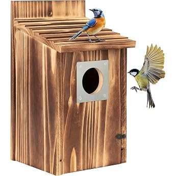 Bird House Nesting Box for Birds Blackbird Robin Bird Box for Hanging Burnt Wood with Nails for Attaching Nesting Aid with 38 mm Metal Inlet Hole