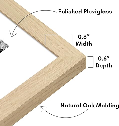 Vista 769 de Americanflat Portarretratos de 8 x 12 pulgadas con plexiglás pulido, juego de 2 portarretratos de 6 x 8 pulgadas con paspartú o para fotos de 8 x 12