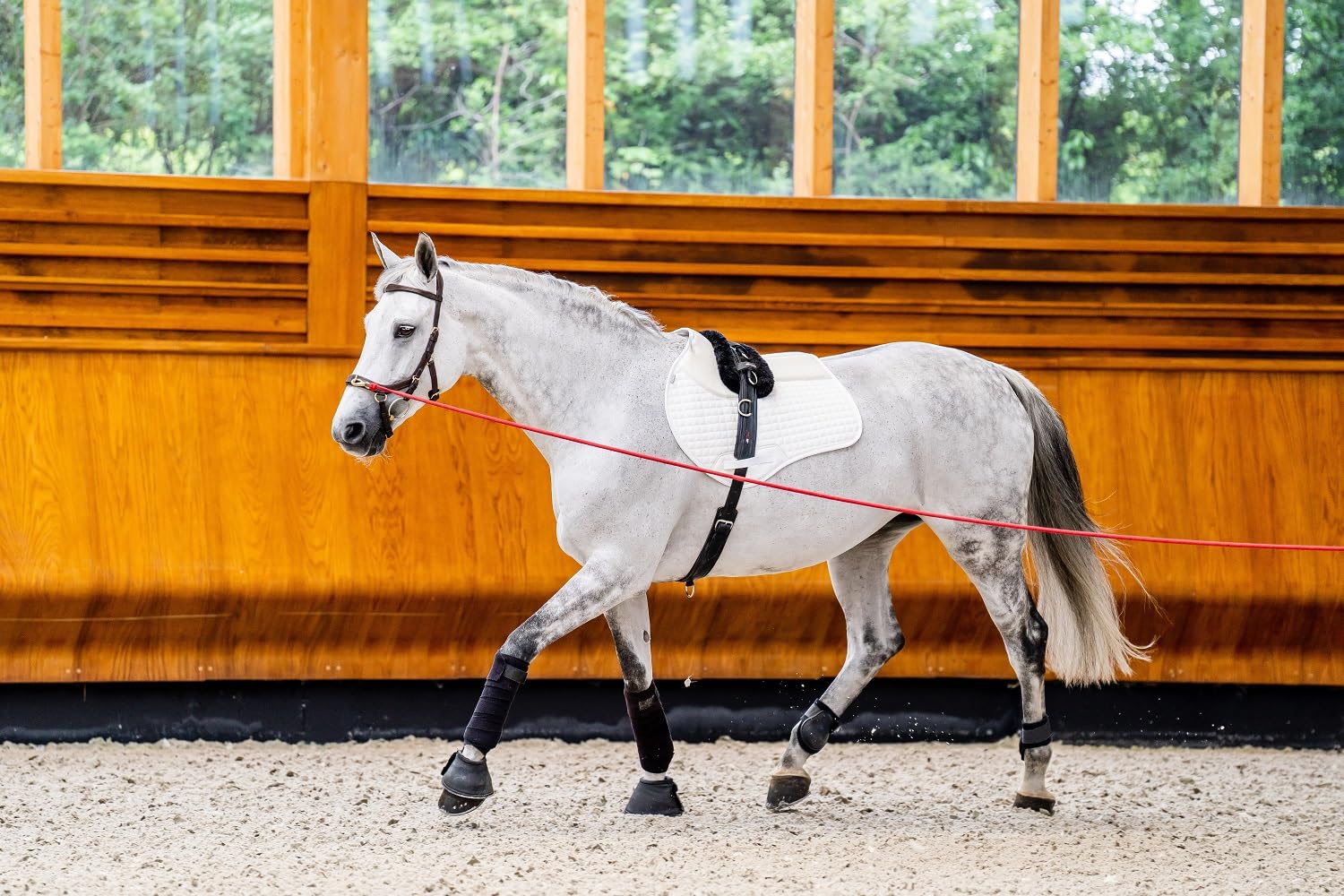 Horseware HW Micklem2 Multi Bridle, Warmblut, Schwarz