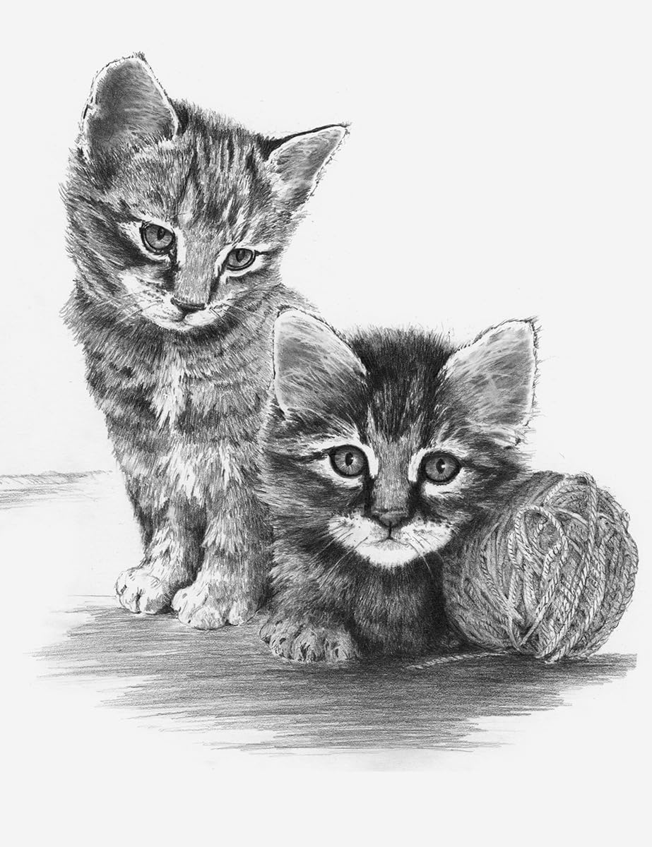 Royal & Langnickel SKTCH Made Easy Kittens with B