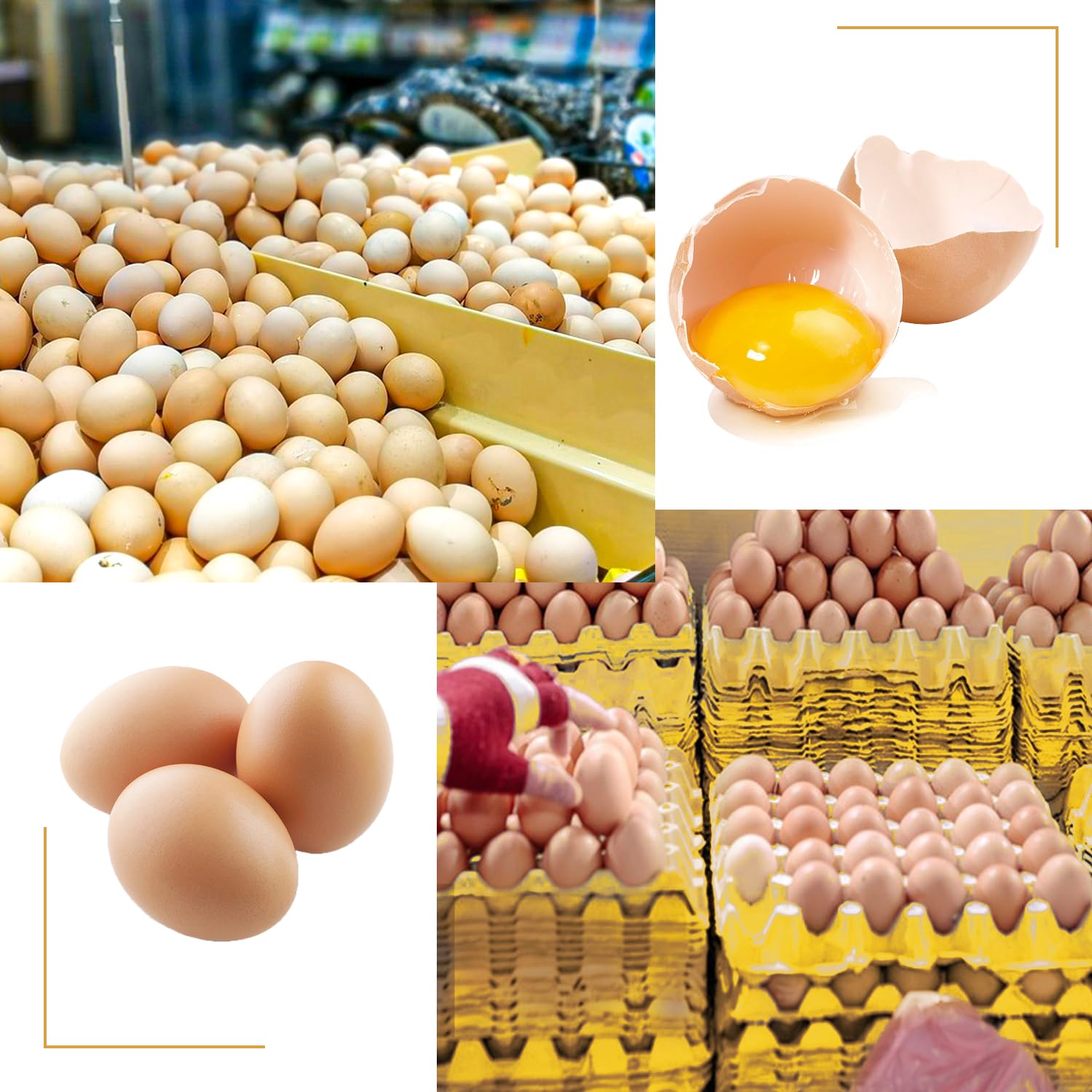 20 cajas de huevos planas de 30 celdas (capacidad para 30 huevos), cajas de cartón para huevos, resistentes y apilables, cajas de huevos perfectas para huevos frescos, granja de pollos