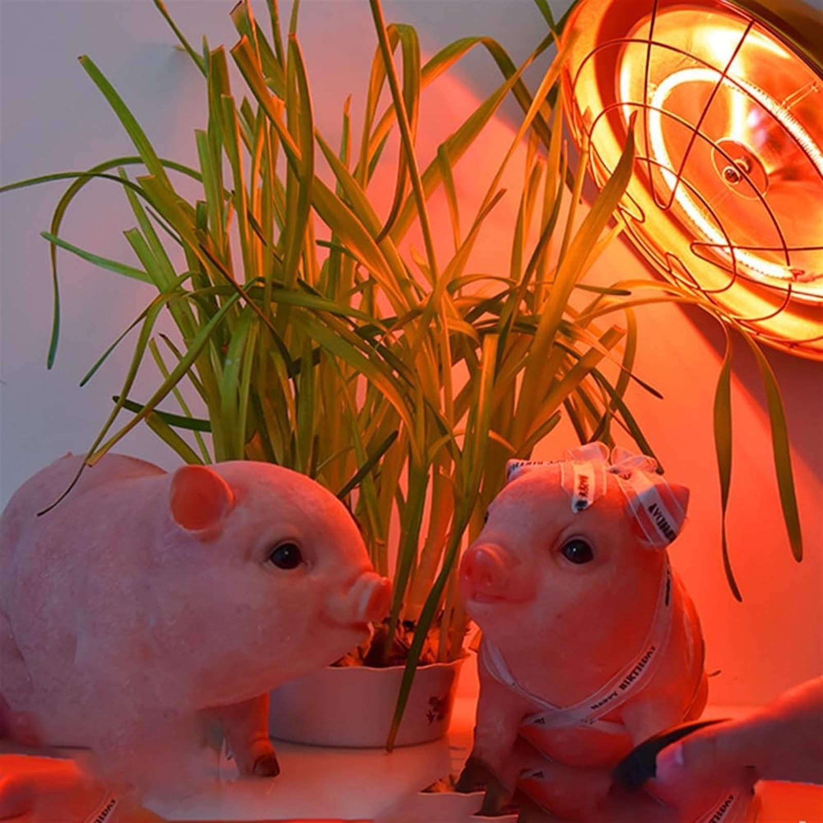 NEZIH Lampada riscaldante for rettili a infrarossi, lampada for chioccia a temperatura regolabile, riscaldatore for pollaio, lampada riscaldante for animali for conigli, cuccioli