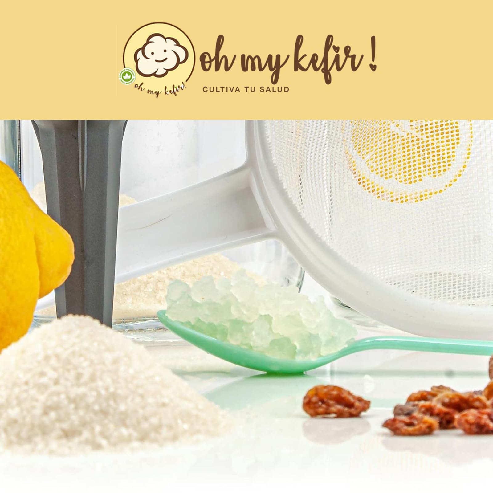 100g de Hongo/Nódulos Frescos de Kéfir de Agua + Instrucciones + Recetas + Ayuda y Asesoramiento en español - OH MY KÉFIR®
