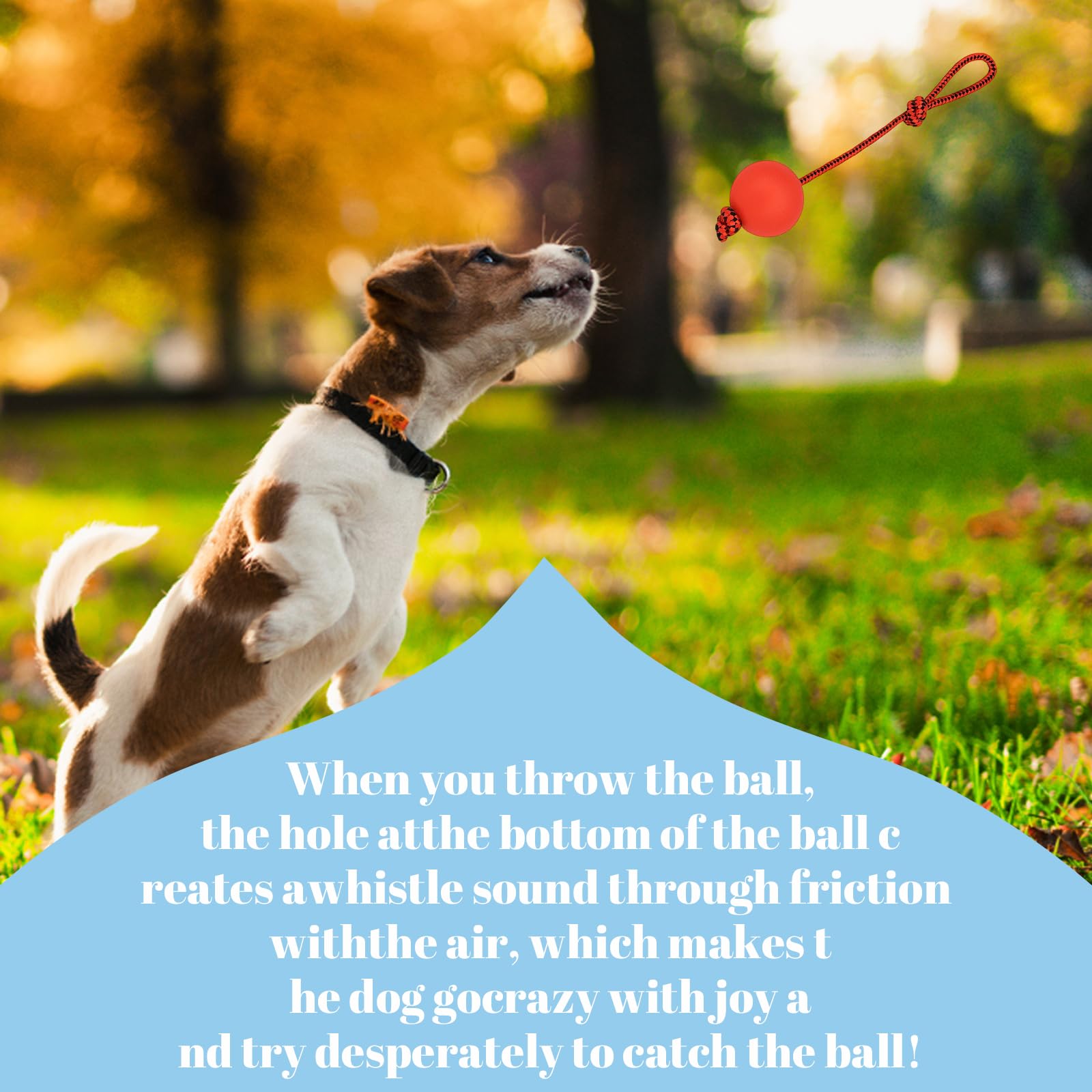 Bodeshis 3 Pcs Ball on a Rope for Dogs Diameter 6cm Dog Ball on Rope Toy - Image 4