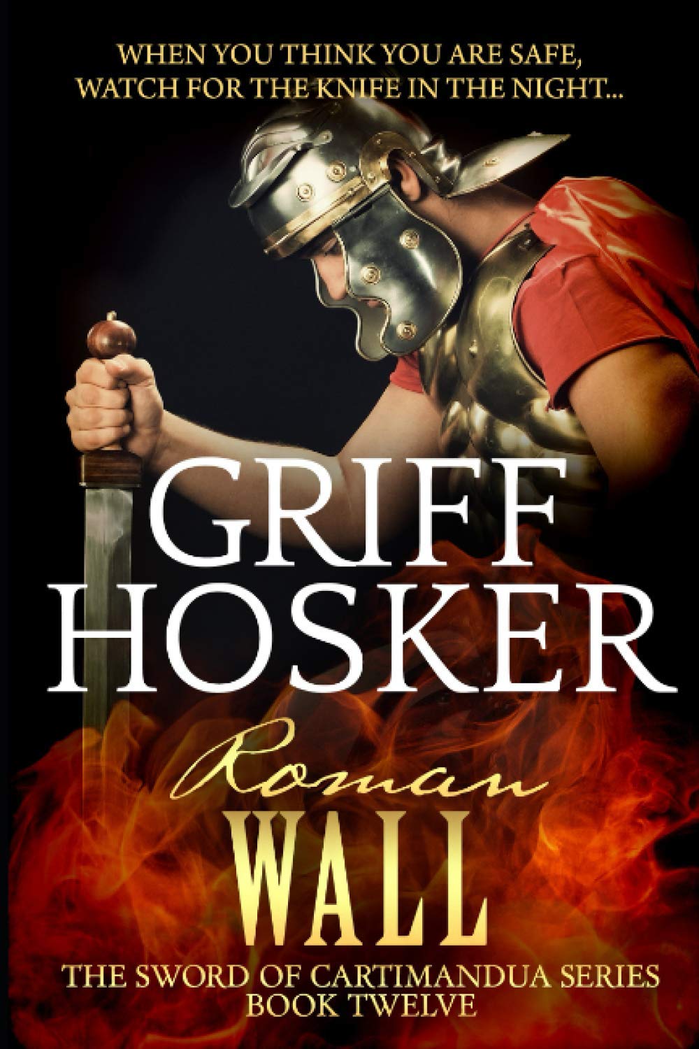 Roman Wall: 12 (Sword of Cartimandua) - Hosker, Griff