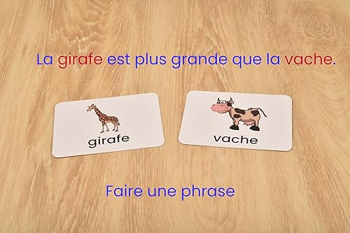 Miniatura 6 de BOHS Juego divertido de mago de alfabetización francesa - Palabras de vista en minúsculas - 60 tarjetas flash - Juguetes educativos de aprendizaje