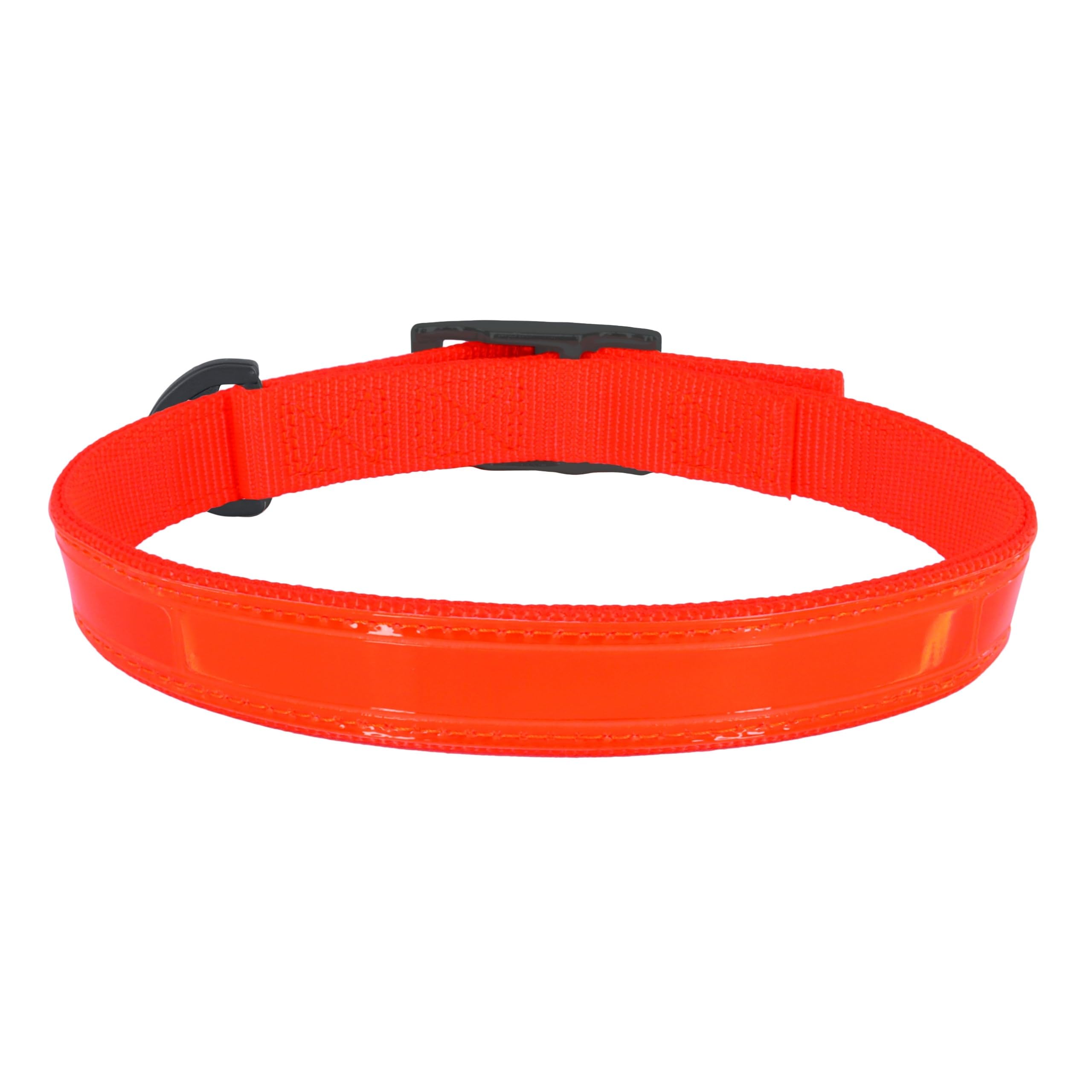 Water & Woods Double-Ply Reflective Hound Dog Collar by Coastal Pet - Comfortable for Pet Collar - Enhanced Visibility - Double-Ply Nylon - Safety Orange, Large - 1" x 26"